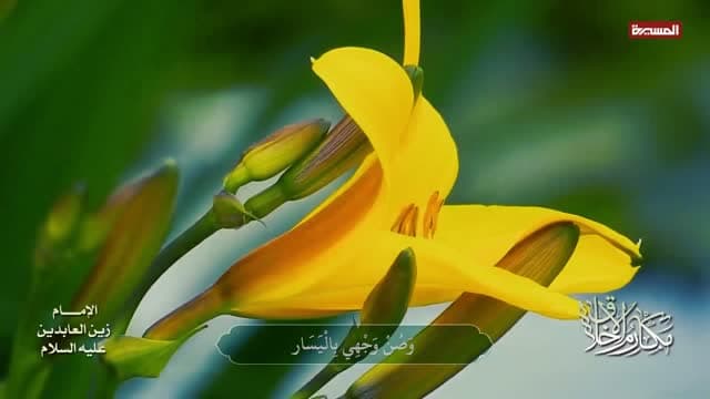 Al Masirah