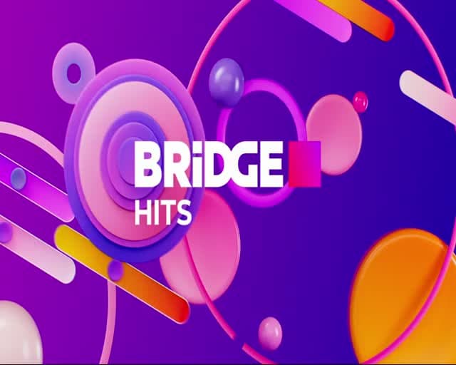 BRIDGE Hits