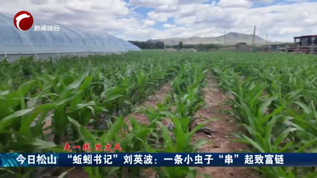 Chifeng Comprehensive News Chanel