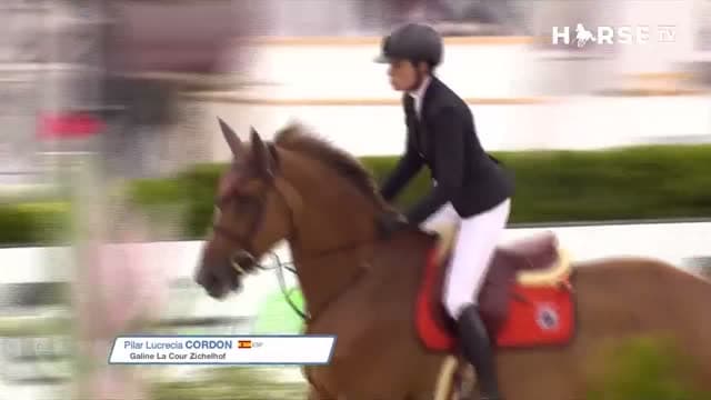 Horse TV