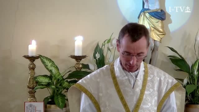 Immaculata TV