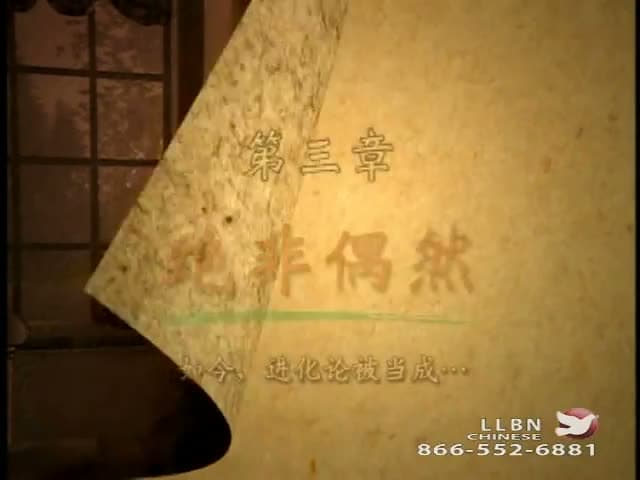 LLBN TV Chinese