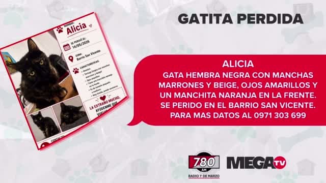 Mega TV