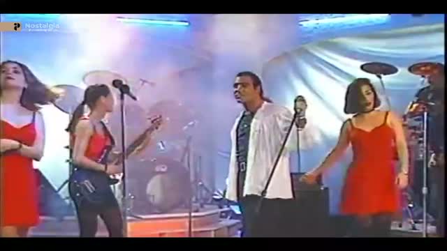 Persiana Nostalgia