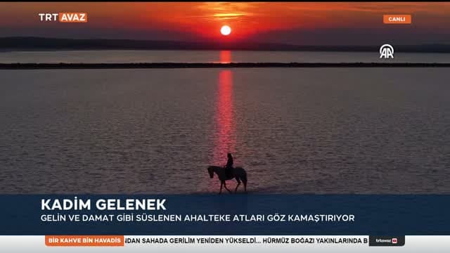 TRT Avaz
