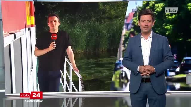 rbb Fernsehen